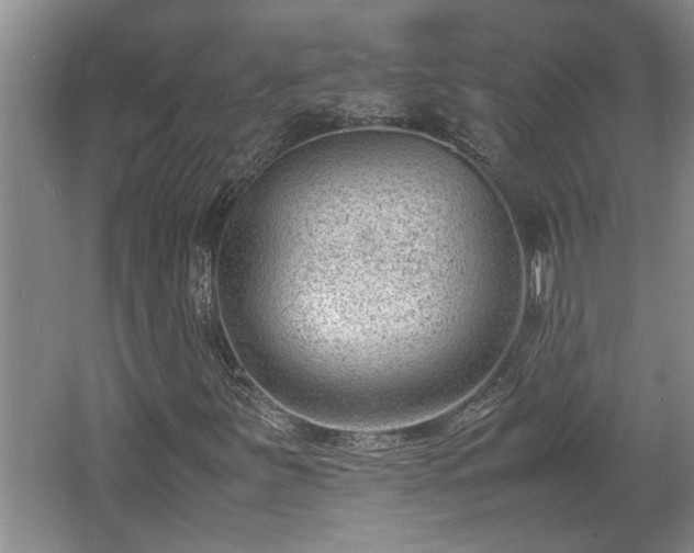 X0000062601251200512230843