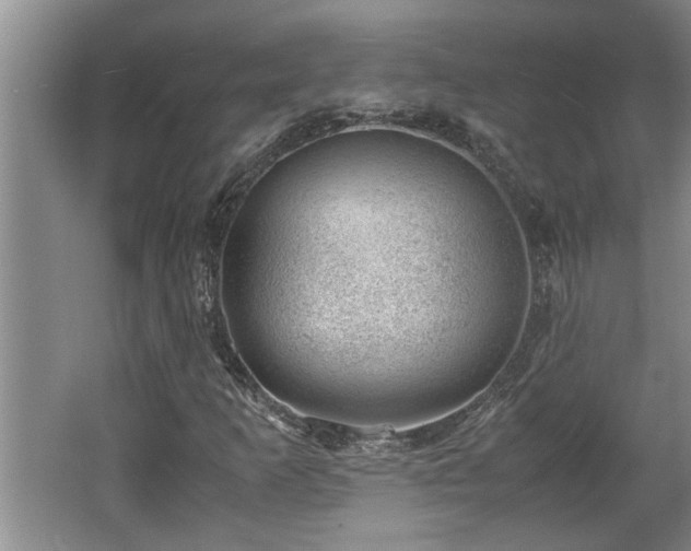 X0000062601253200512230843