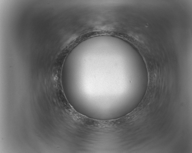 X0000062601254200512230843