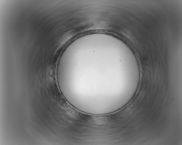 X0000062601258200512230843