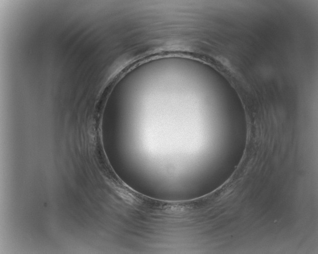 X0000062601266200512230843