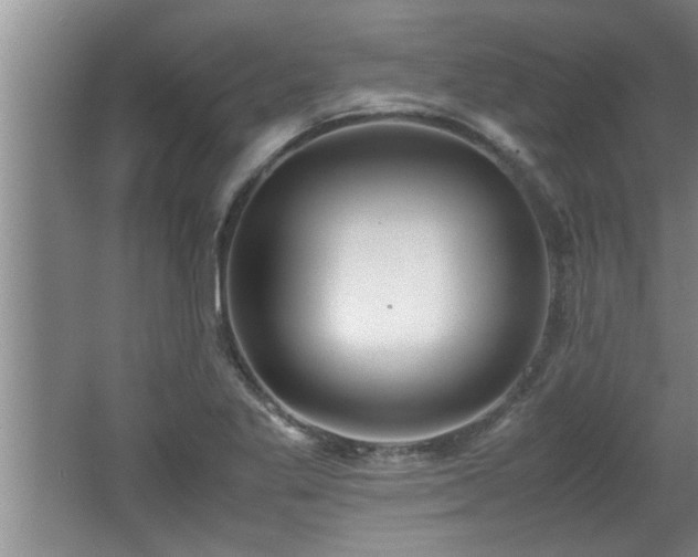 X0000062601269200512230843