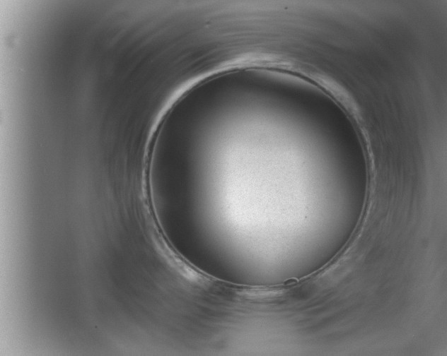 X0000062601296200512230842