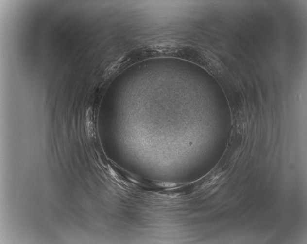 X0000062601298200512230842