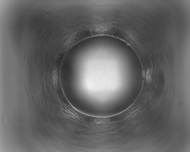 X0000062601299200512230842