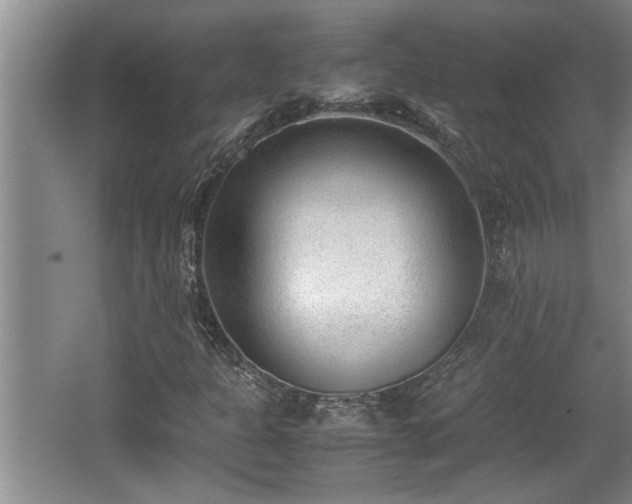 X0000062601301200512230842