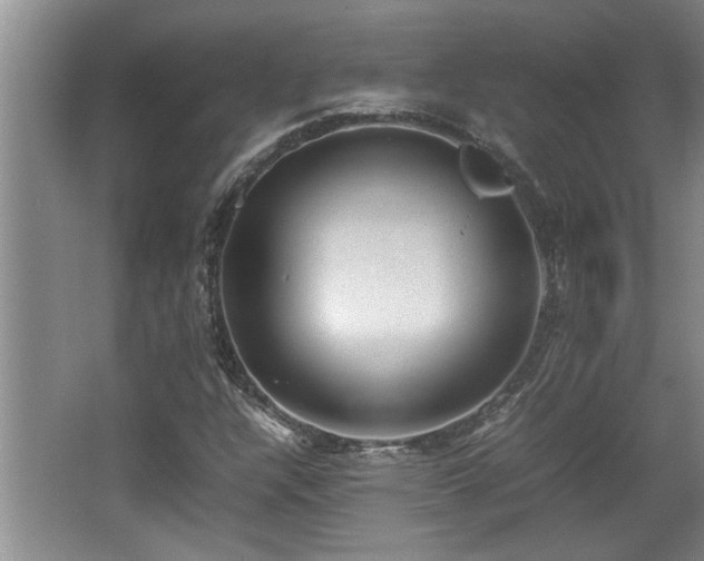 X0000062601304200512230842