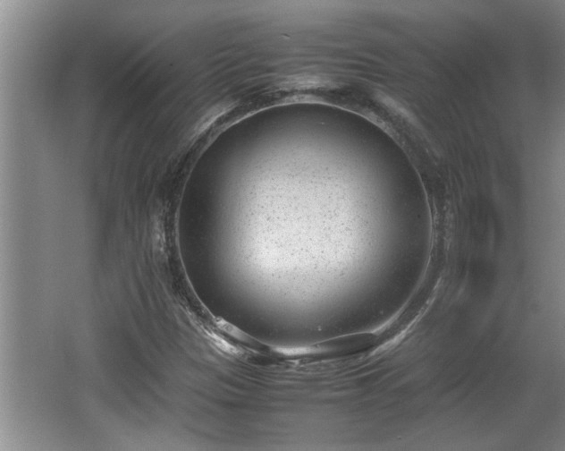 X0000062601305200512230842