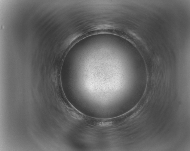 X0000062601313200512230842