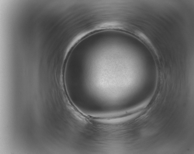 X0000062601336200512230842