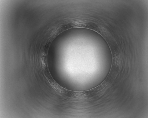 X0000062601346200512230841