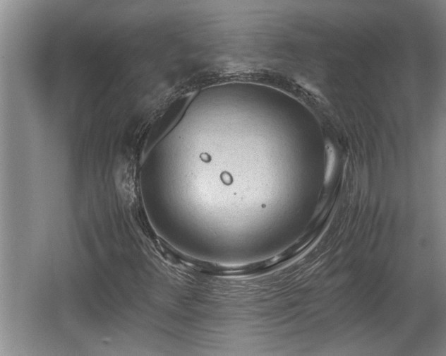 X0000062601348200512230841