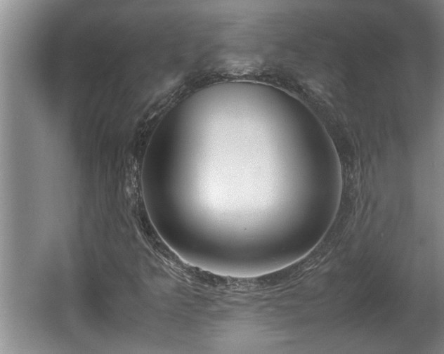 X0000062601349200512230841