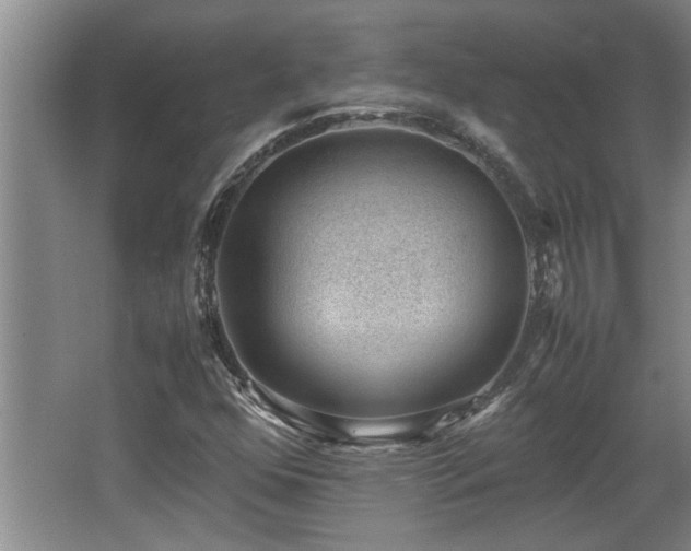 X0000062601352200512230841