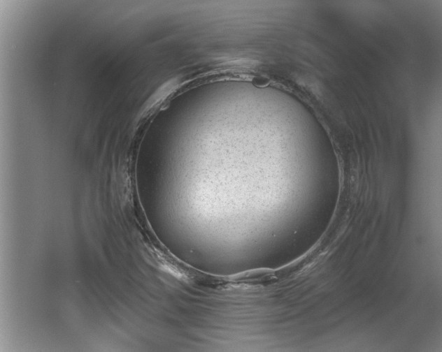 X0000062601354200512230841