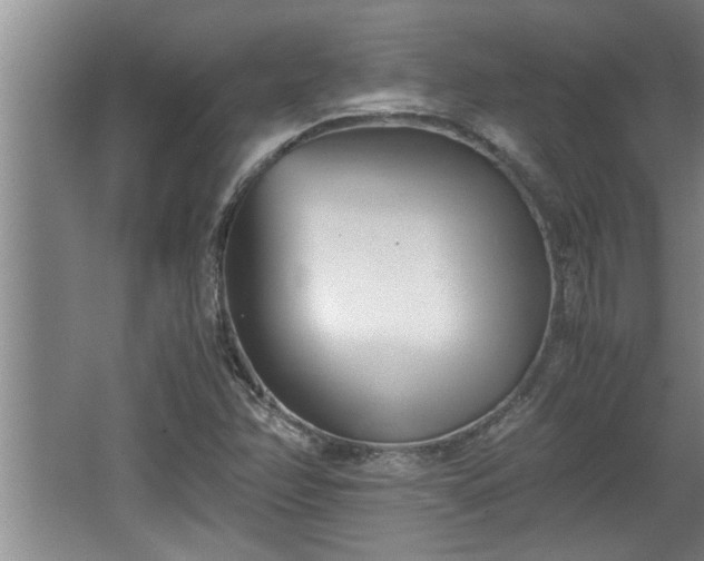 X0000062601358200512230841