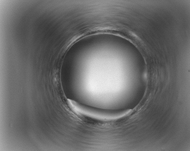 X0000062601361200512230841