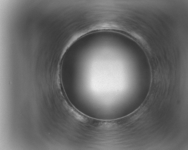 X0000062601374200512230841