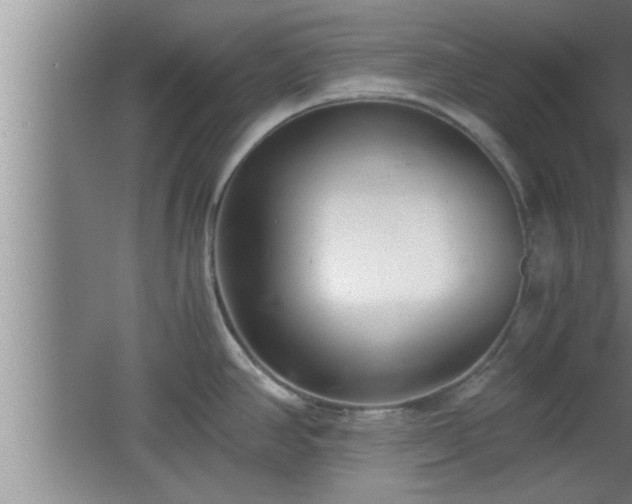 X0000062601390200512230841