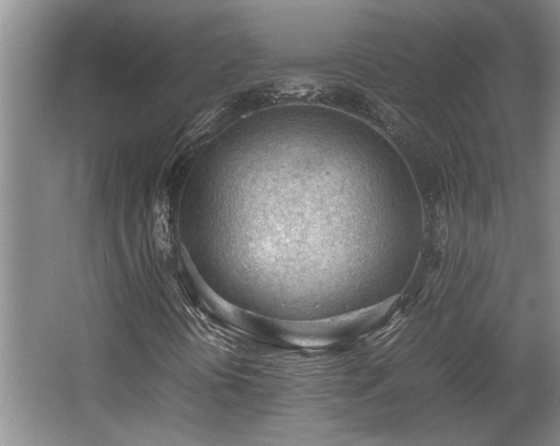 X0000062601394200512230840