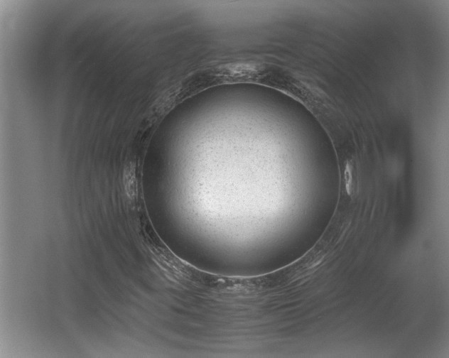 X0000062601395200512230840