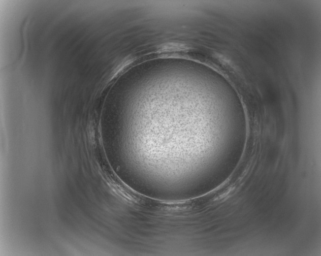 X0000062601401200512230840