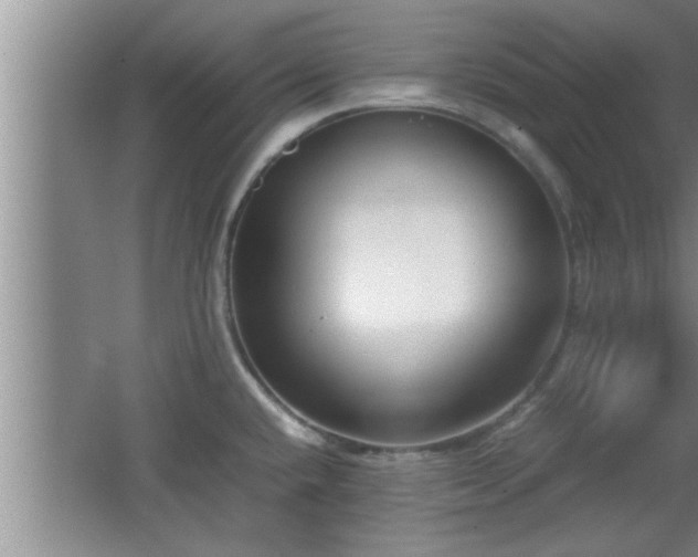 X0000062601432200512230841