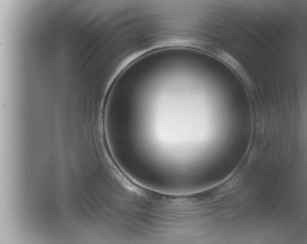 X0000062601436200512230841