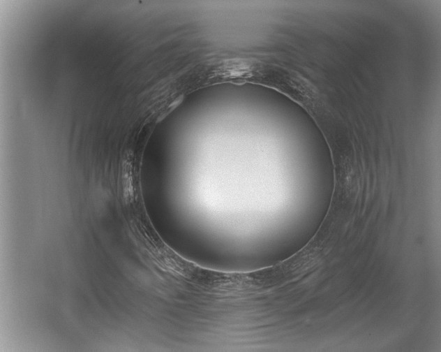 X0000062601442200512230840