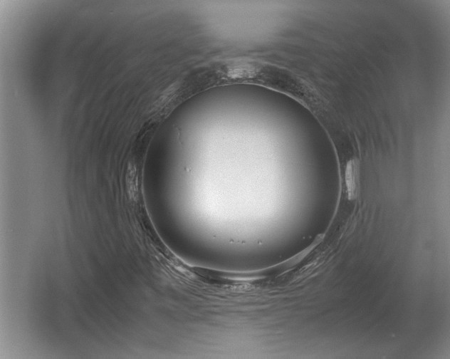 X0000062601443200512230840