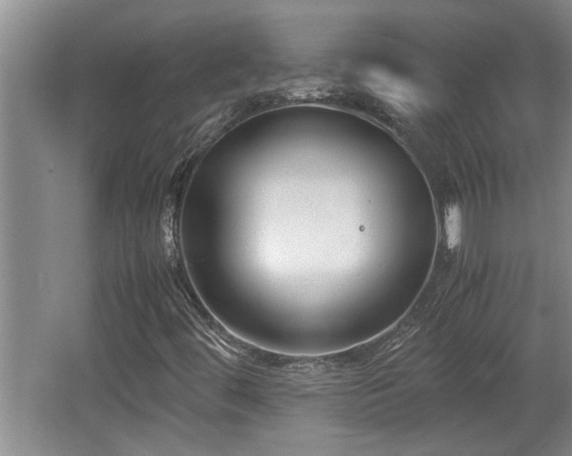 X0000062601444200512230840