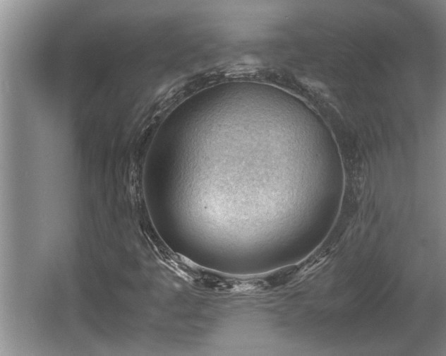 X0000062601445200512230840