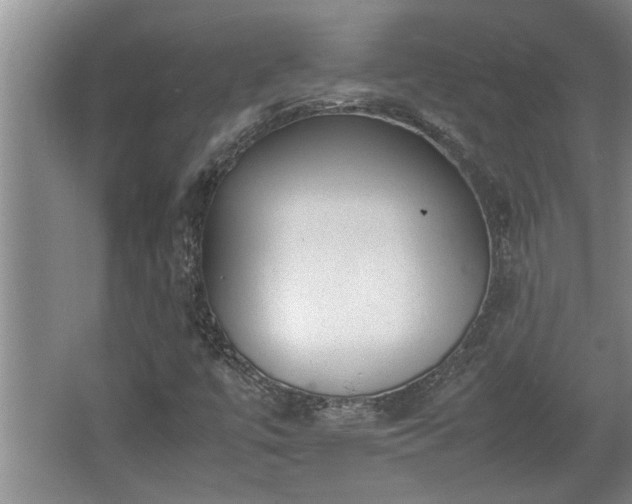 X0000062601447200512230840