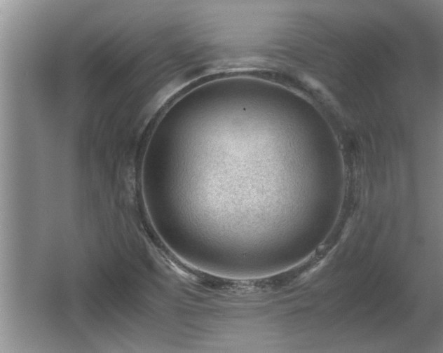 X0000062601457200512230840