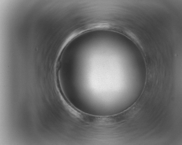X0000062601475200512230839