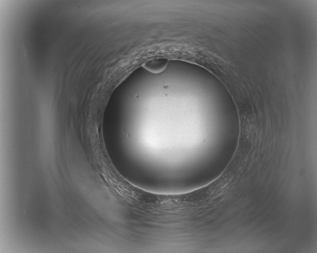 X0000062601489200512230838