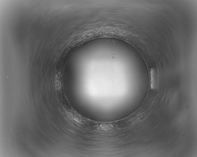X0000062601491200512230838