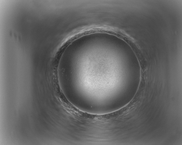 X0000062601496200512230838