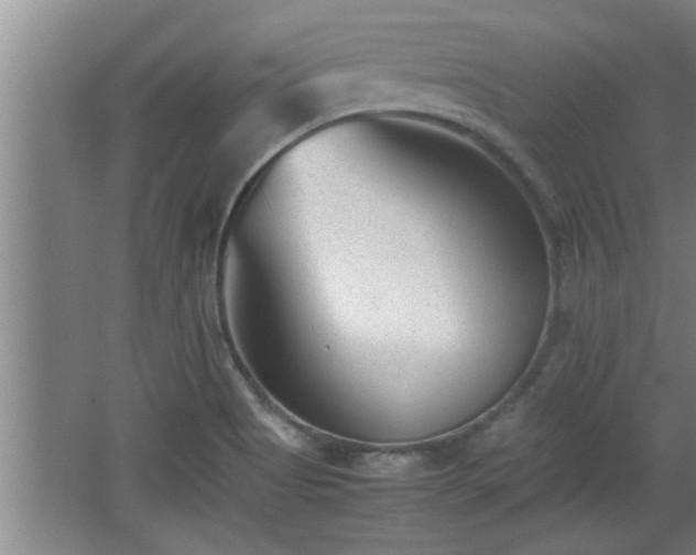 X0000062601513200512230839