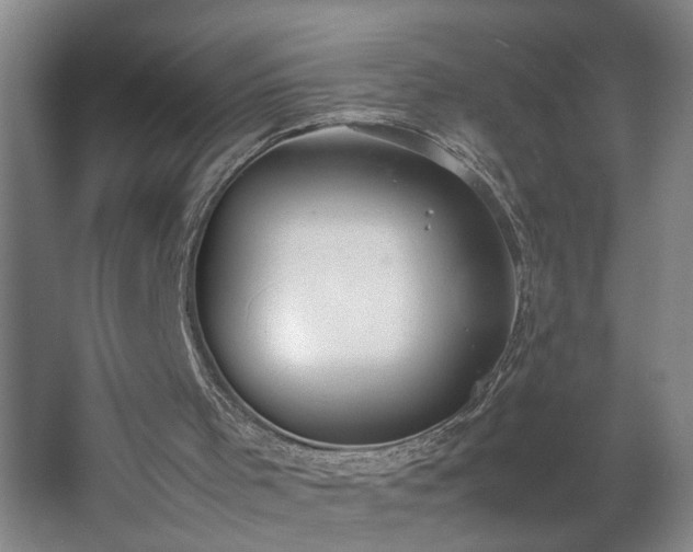 X0000062600001200512281410