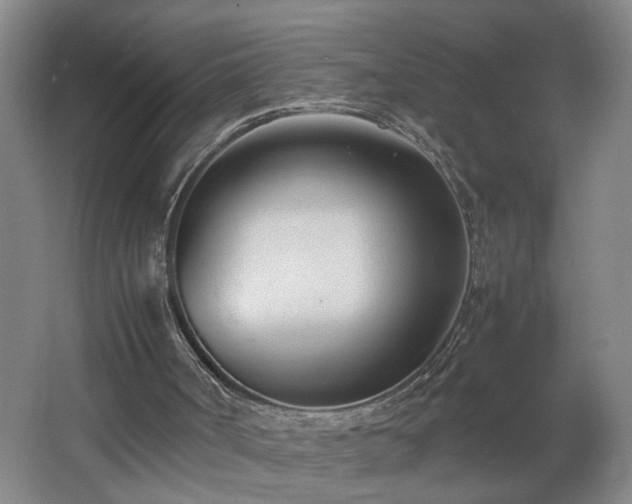 X0000062600002200512281410