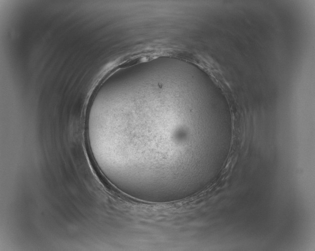 X0000062600003200512281410