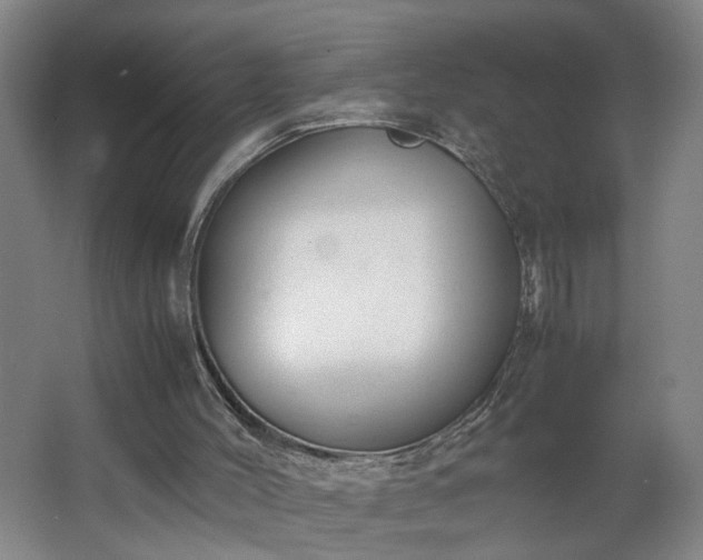 X0000062600004200512281410