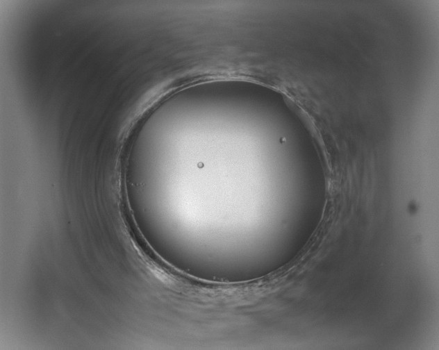 X0000062600005200512281410