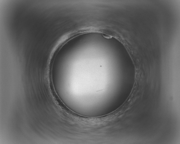 X0000062600006200512281410