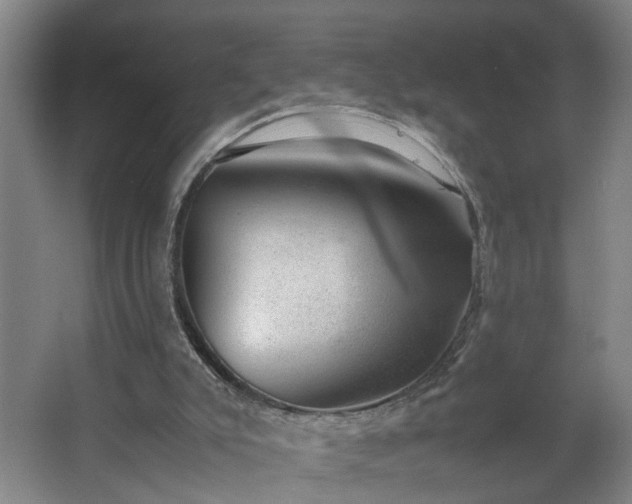 X0000062600007200512281410