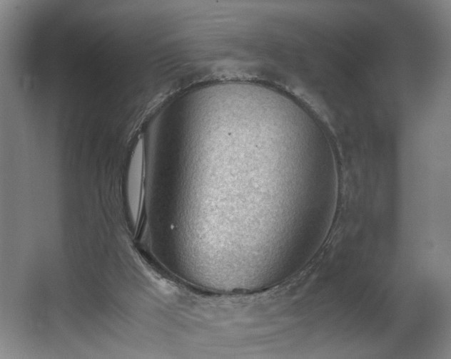 X0000062600009200512281410