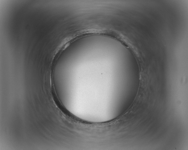 X0000062600011200512281410