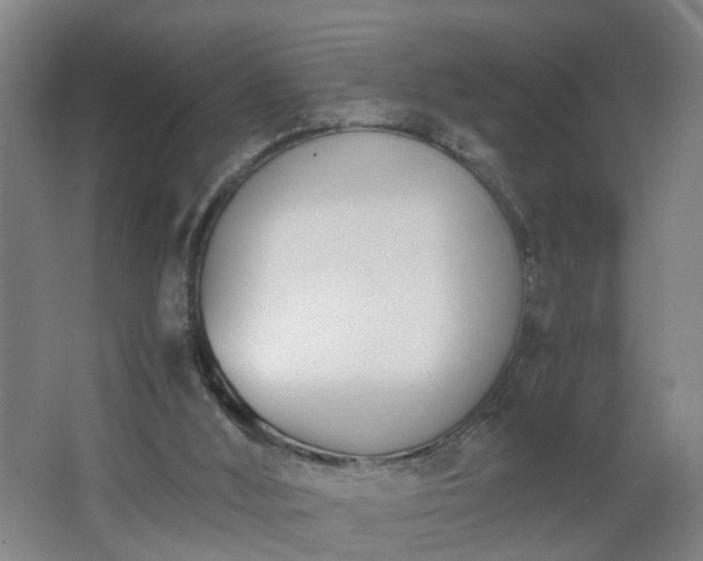 X0000062600012200512281410