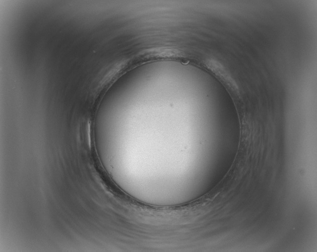 X0000062600014200512281410